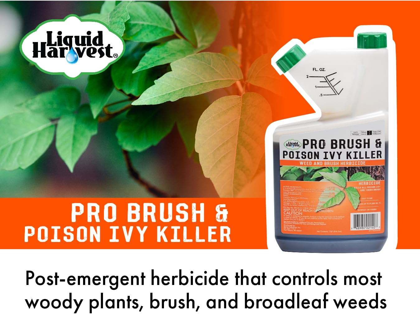 Pro Brush Poison Ivy Killer - 32oz Concentrated Herbicide for Woody Plants & Tough Weeds