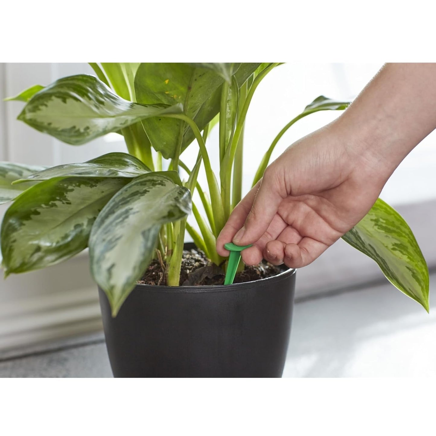 Skiennix Plant Food Spikes - 6-12-6 Formula for Healthy Growth | 1.1 oz.