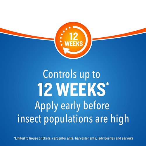 Cutter Backyard Bug Control Spray Concentrate - Kills Mosquitoes & Fleas | 32 fl Ounce (2 Pack)