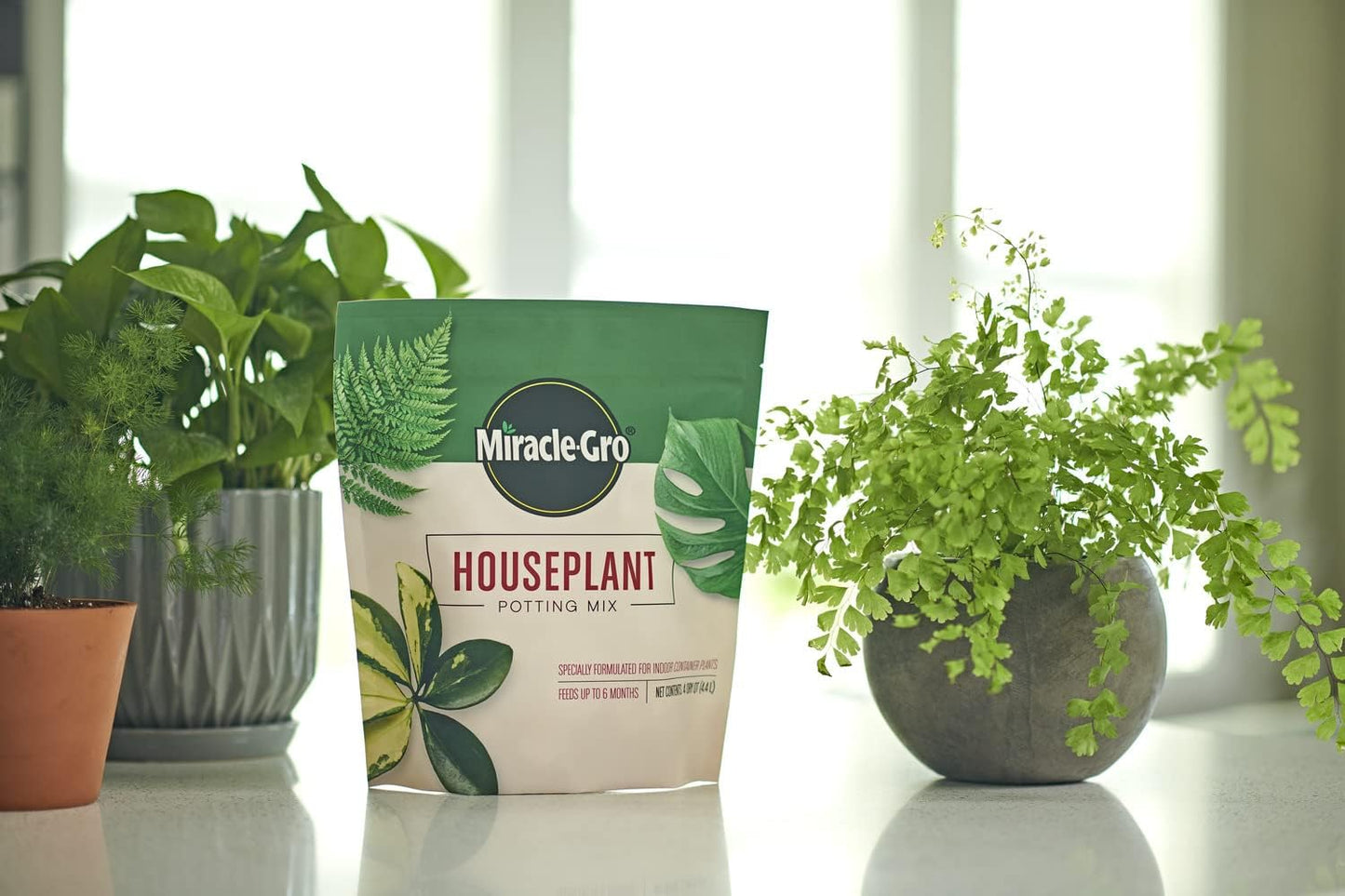 Miracle-Gro Houseplant Potting Mix - Fertilized Soil, Gnats Resistant - 4 Qt. (2-Pack)