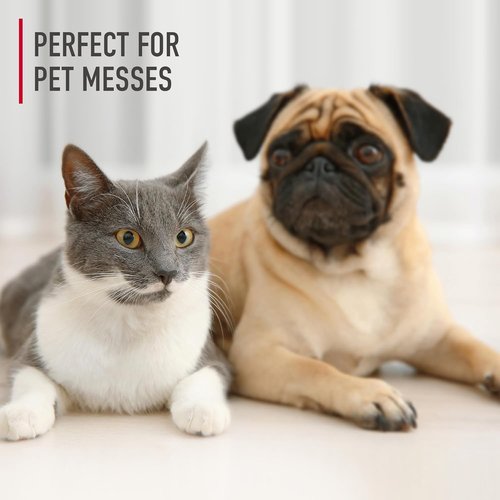 Hoover Pet Carpet Cleaner Solution - 128 oz. Deep Cleaning Shampoo | Tropical Breeze Scent, Eliminates Urine Stains