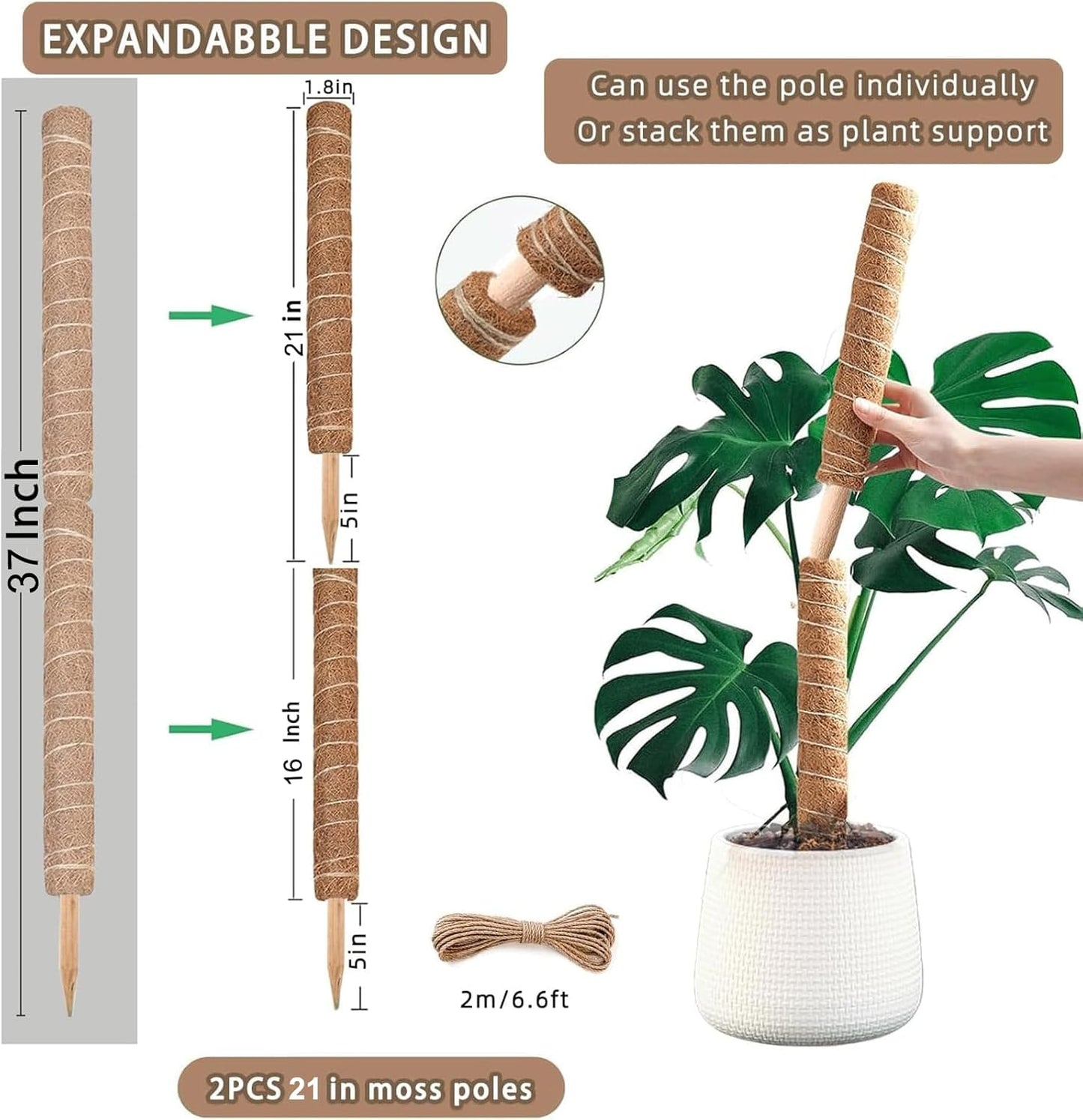 Moss Pole | 21-Inch Plant Support Stakes - 2-Pack for Monstera, Pothos & Philodendron