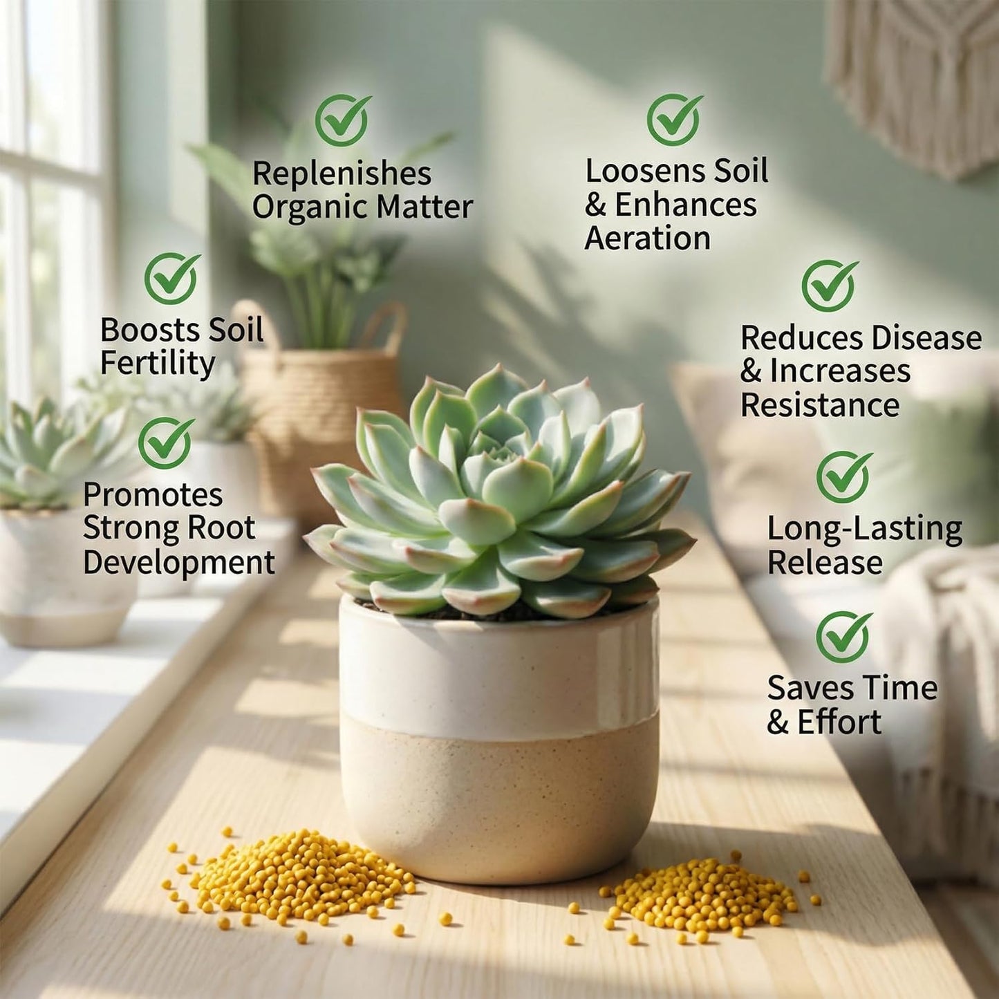 Rainflow Organic Plant Food - All-Purpose Slow Release Fertilizer for Succulents, Cactus & Orchids | 11.28 Oz