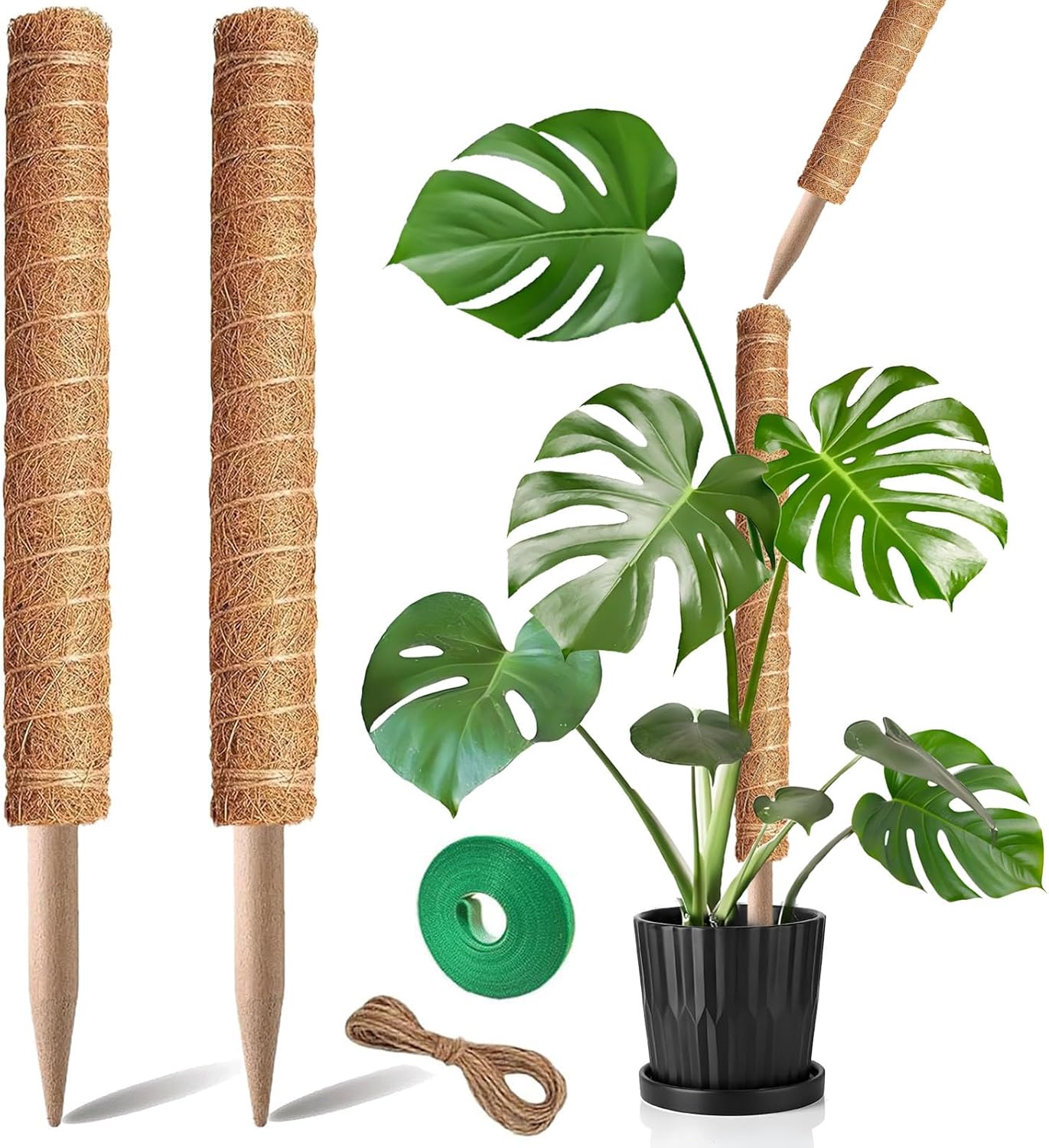 Moss Pole | 21-Inch Plant Support Stakes - 2-Pack for Monstera, Pothos & Philodendron