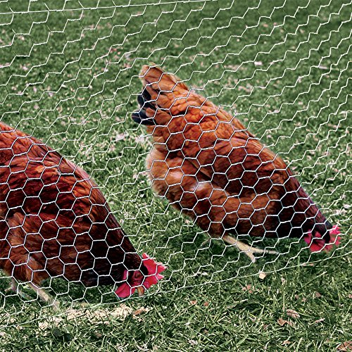 YARDGARD 2 Inch Galvanized Steel Poultry Netting - 24in x 150ft Bird & Small Animal Fence