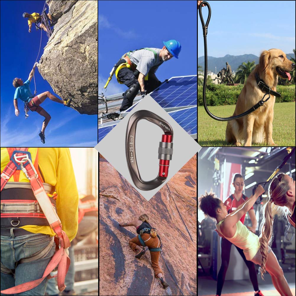 XINDA Screwgate Locking Carabiner Clip - Professional Rock Climbing Carabiner Screw Lock,Heavy Duty Carabiners for Climbing,Mountaineer,Hammock,Camping,Outdoor Equipment (5 pcs Gray)