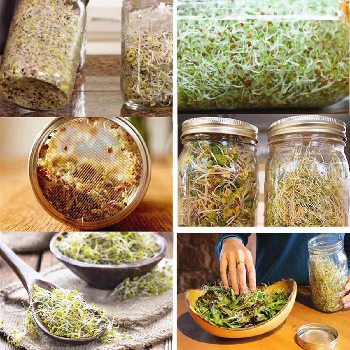 Mason Jar Shaker Lid 316 Stainless Steel Wide Mouth Mason Jar Sprouting Mesh Strainer Lids Kits for Mason Jars Canning Lid 4 Pack Silver