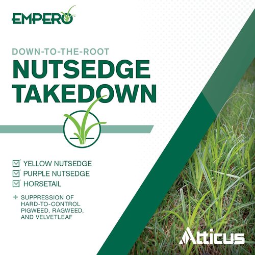 Atticus Empero Nutsedge Killer - Effective Turf Herbicide for Nut Grass Control | 1.33 oz