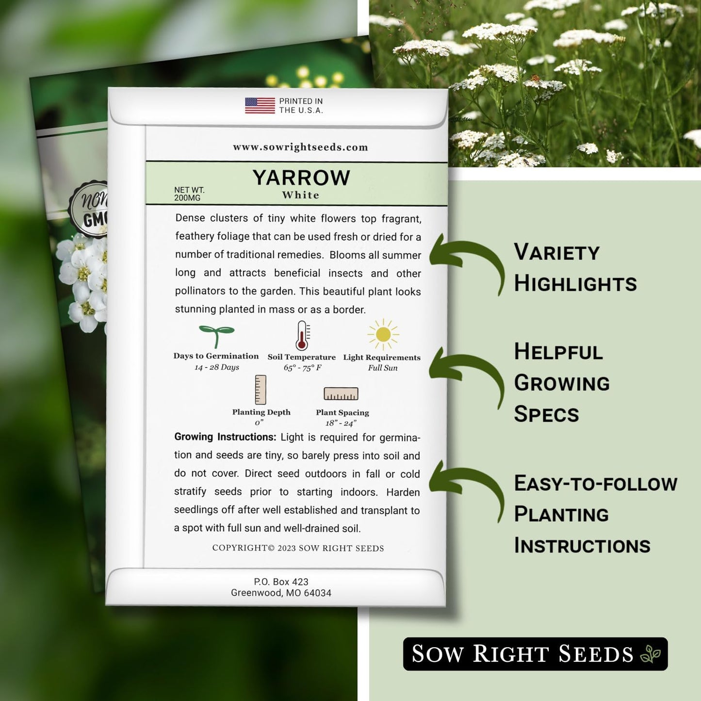 Sow Right Seeds - Common White Yarrow Seeds - Non-GMO Heirloom Packet for Medicinal Herb Garden - Perennial (2)