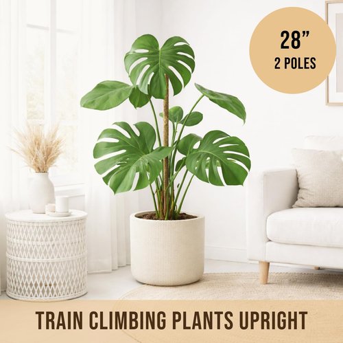 Craft911 Moss Pole Monstera Plant Support - 2 Pack 28” Bendable Stakes for Indoor Climbing Plants