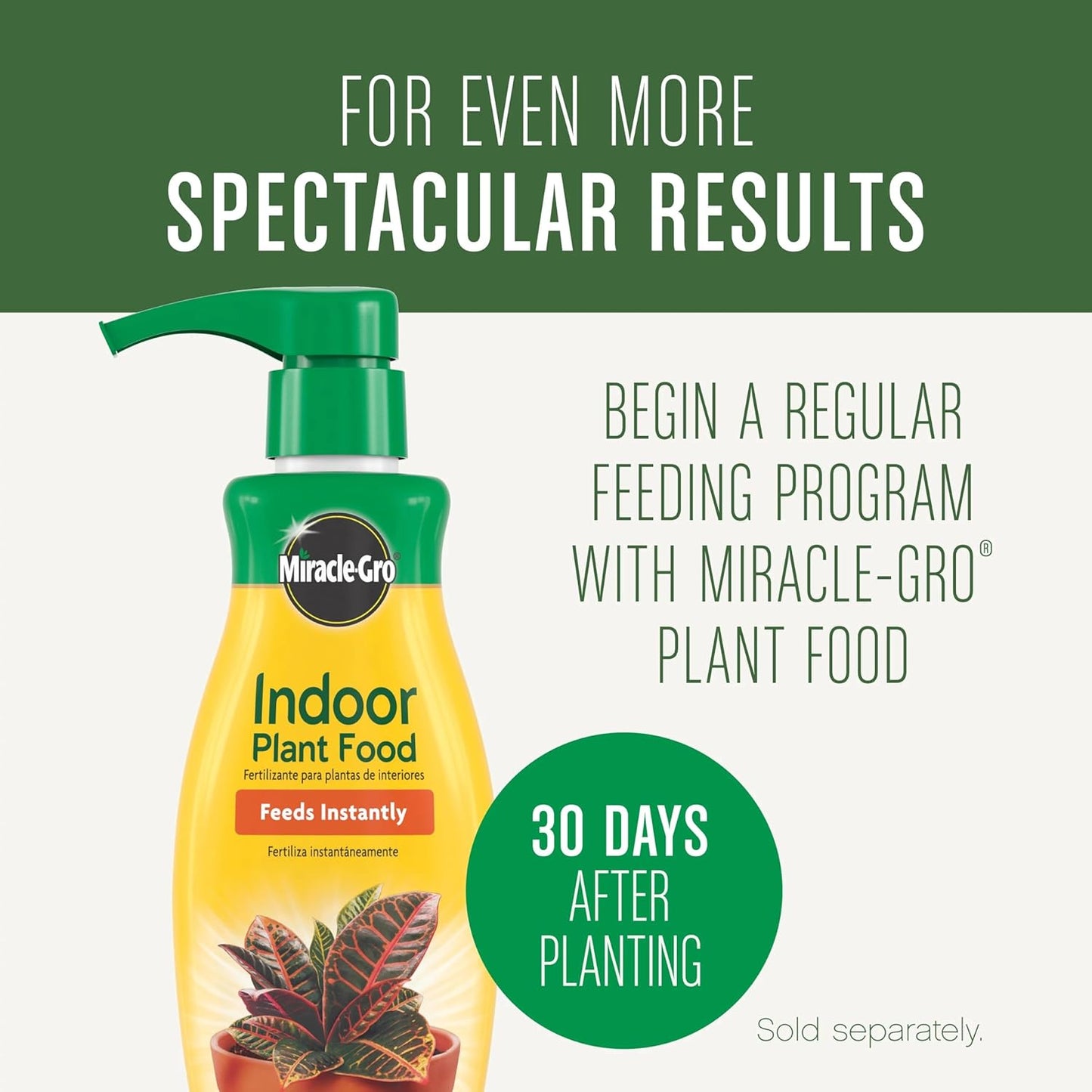 Miracle-Gro Houseplant Potting Mix - Fertilized Indoor Soil for Containers | Less Gnats, 4 Qt