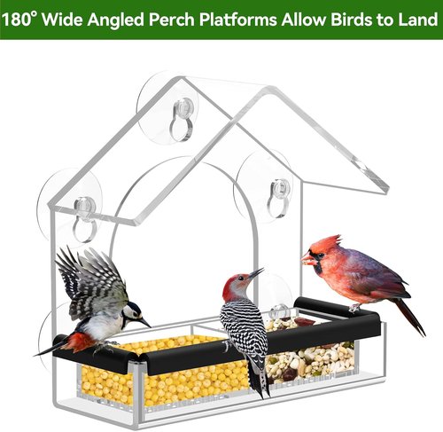 DY-SKTY Clear Window Bird Feeder - Sturdy Acrylic Design with 5 Strong Suction Cups | Perfect for Bird Watching and Garden Decor