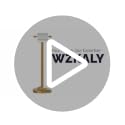Brushed Gold 22" Stainless Steel Freestanding Toilet Paper Holder with Weighted Base - No Storage