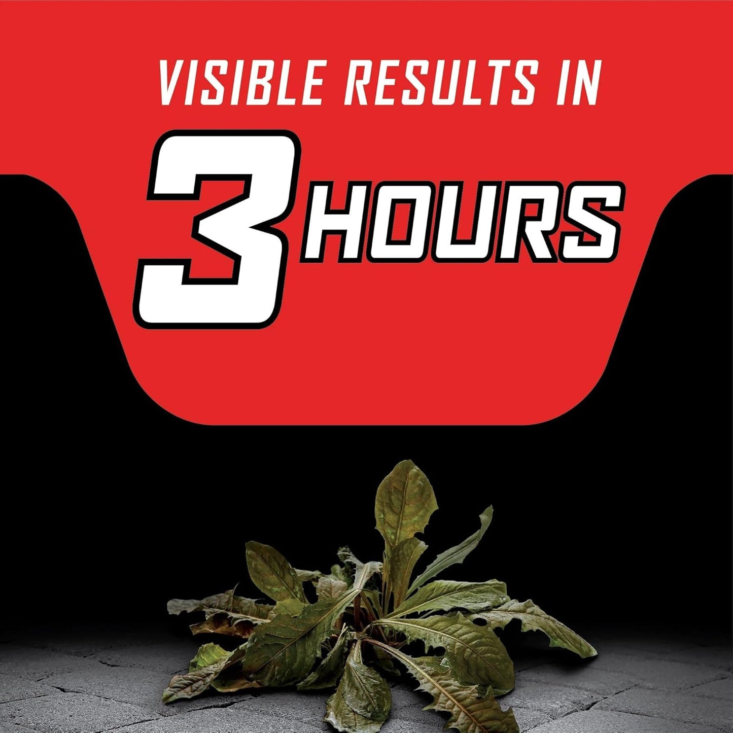 Ortho GroundClear Year-Long Vegetation Killer Refill - Kills Weeds & Grasses for 1 Year | 1 Gallon