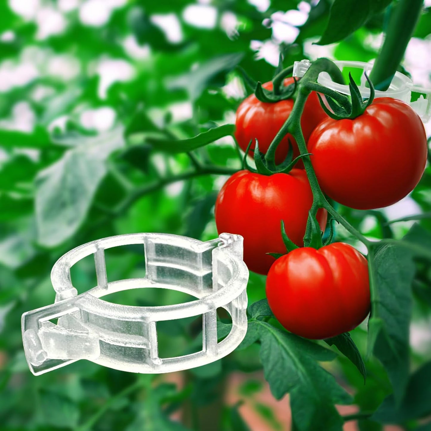 Tomato Clips - 100 Pack Clear Reusable Plant Support Clips for Climbing Vegetables & Vines