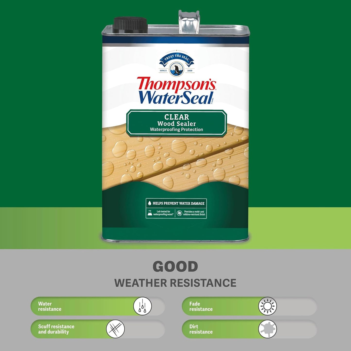 Thompson's WaterSeal Clear Wood Sealer - Premium Protection for Wood Surfaces | 1 Gallon