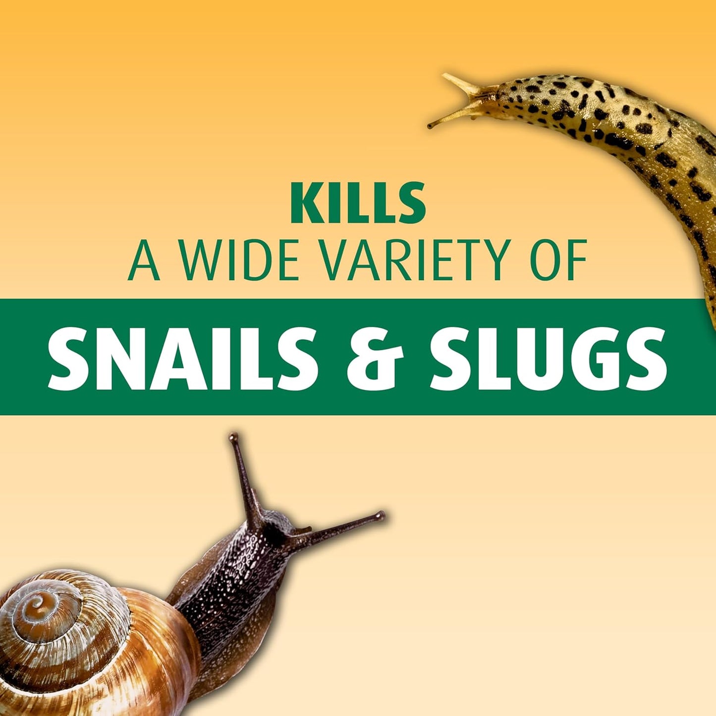 Ortho Bug-Geta Snail & Slug Killer - Effective Pest Control for 3 Weeks | 2 lbs