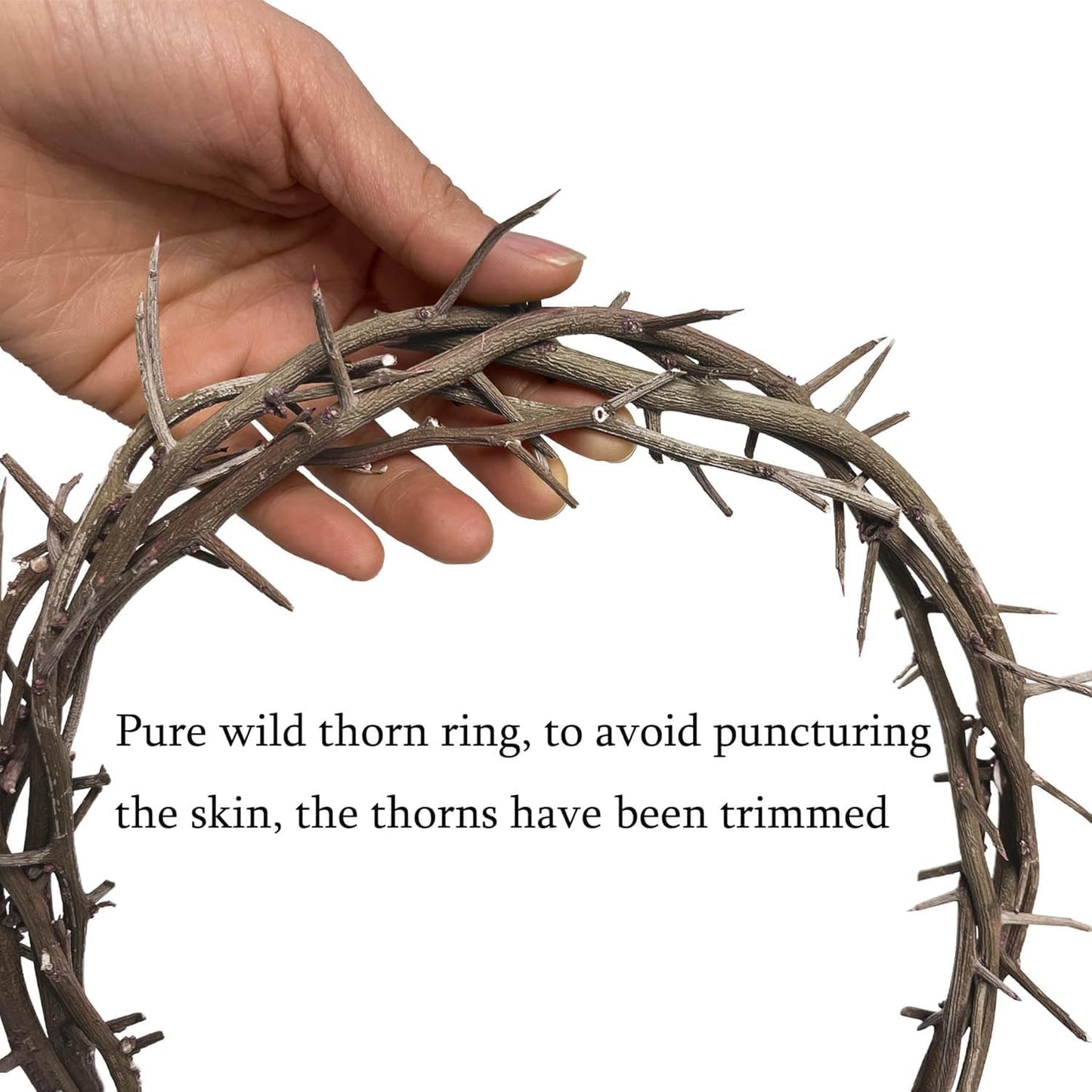 Regine Switzerland Crown of Thorns Set - 5 Pcs with 8'' Jesus Thorn Crown & Crucifix Nails | Easter Christian Decor & Gifts