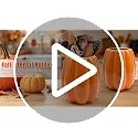 Pinata Fall Pumpkin Ceramic Utensil Holder - Orange Fall Kitchen Decor