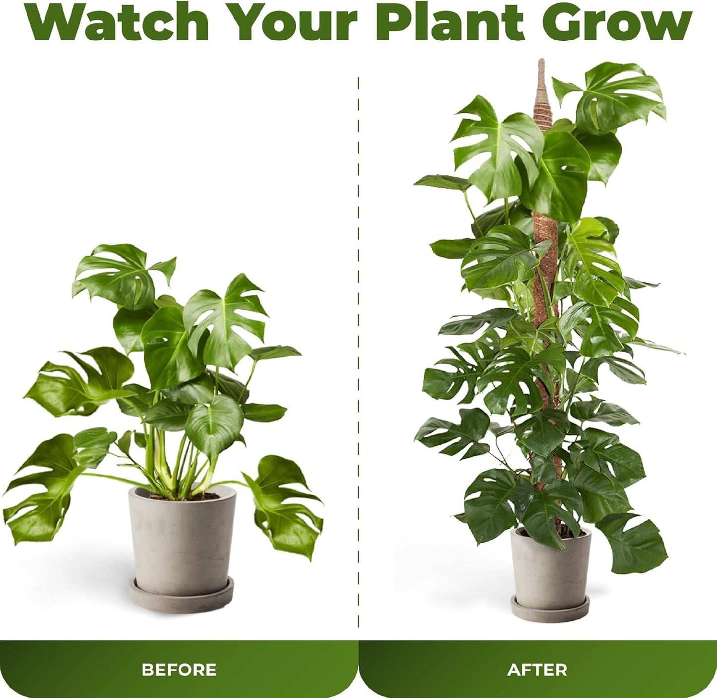 Monstera Plant Support - 2 Pack 48'' Bendable Moss Poles for Indoor Climbing Plants | Trellis Stakes