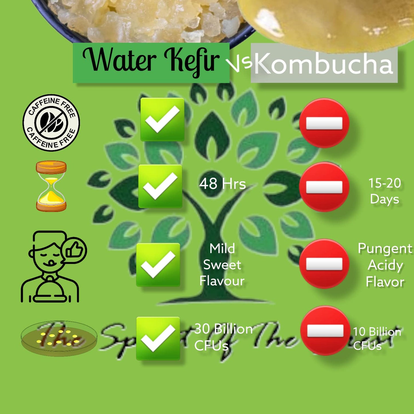 The Spirit Of The Forest Live DORMANT ENDLESS Fresh Water Kefir Grains DIY Fermented Probiotic Drink Enhances Gut Health Kefir Starter Makes Limitless Supply Non-GMO Dairy Free Vegan Sparkling Water