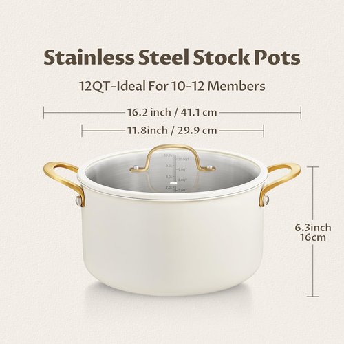 BEZIA Large Stainless Steel Stock Pot, 12 Quart Large Cooking Pot with Lid, Casserole with Lid, Even Heat Distribution, Induction Compatible Soup Pot, Ideal for Stews, Simmering & Soups