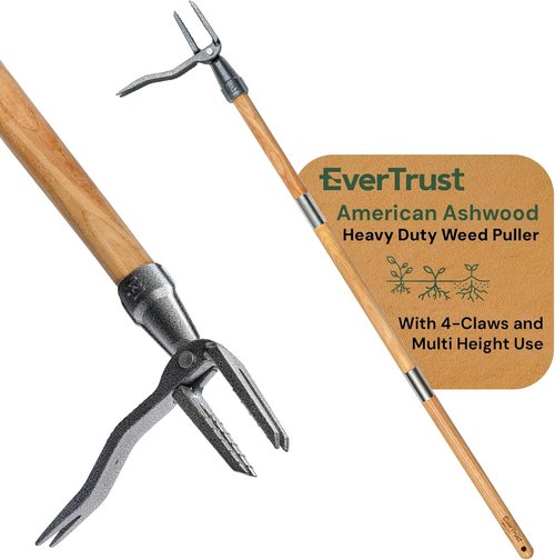 4-Claw Stand Up Weed Puller Tool - Heavy Duty Metal Head Weeder with Adjustable 30"-44" Ashwood Handle for Easy Gardening