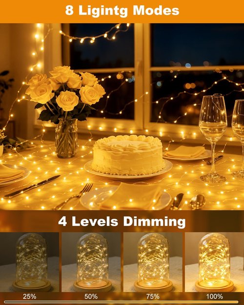 Btfarm Rechargeable Fairy Lights - 33FT 100LED Waterproof Twinkle Lights with Remote & Timer | Warm White Indoor/Outdoor Decor
