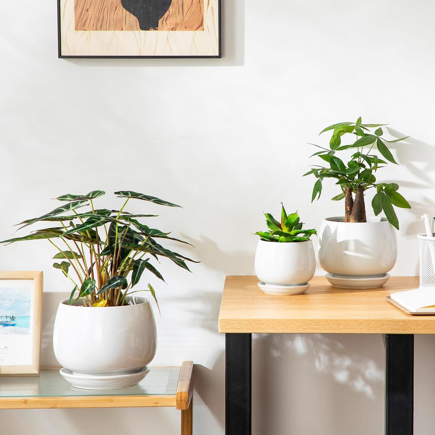 Vancasso Ceramic Plant Pots - 3-Pack Indoor Planters with Saucers & Drainage Holes | White, 3.7-6.2 Inch