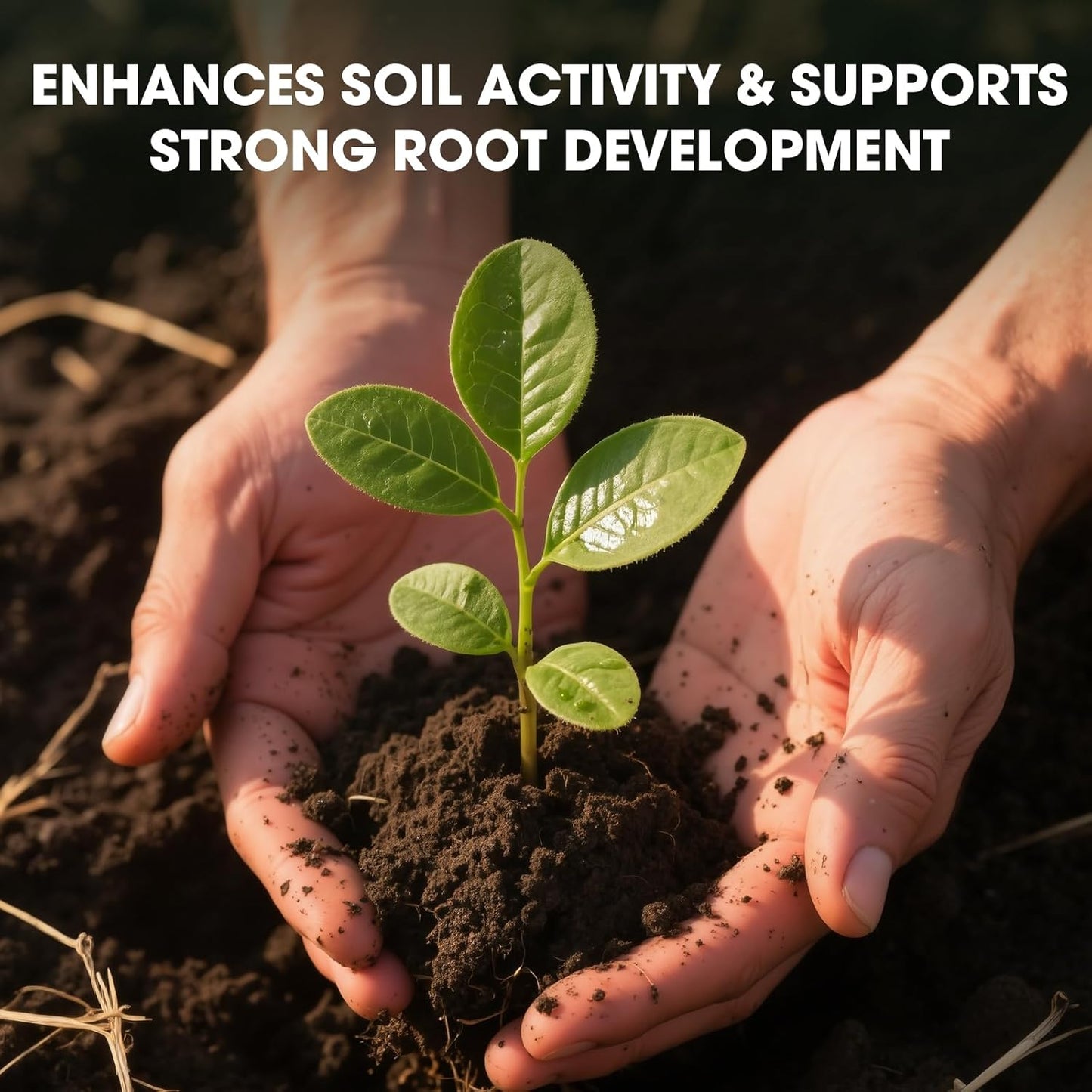 Skiennix Soil Activator - Organic Plant Fertilizer for Garden Beds | 32.4 oz (920g) Root Growth Booster