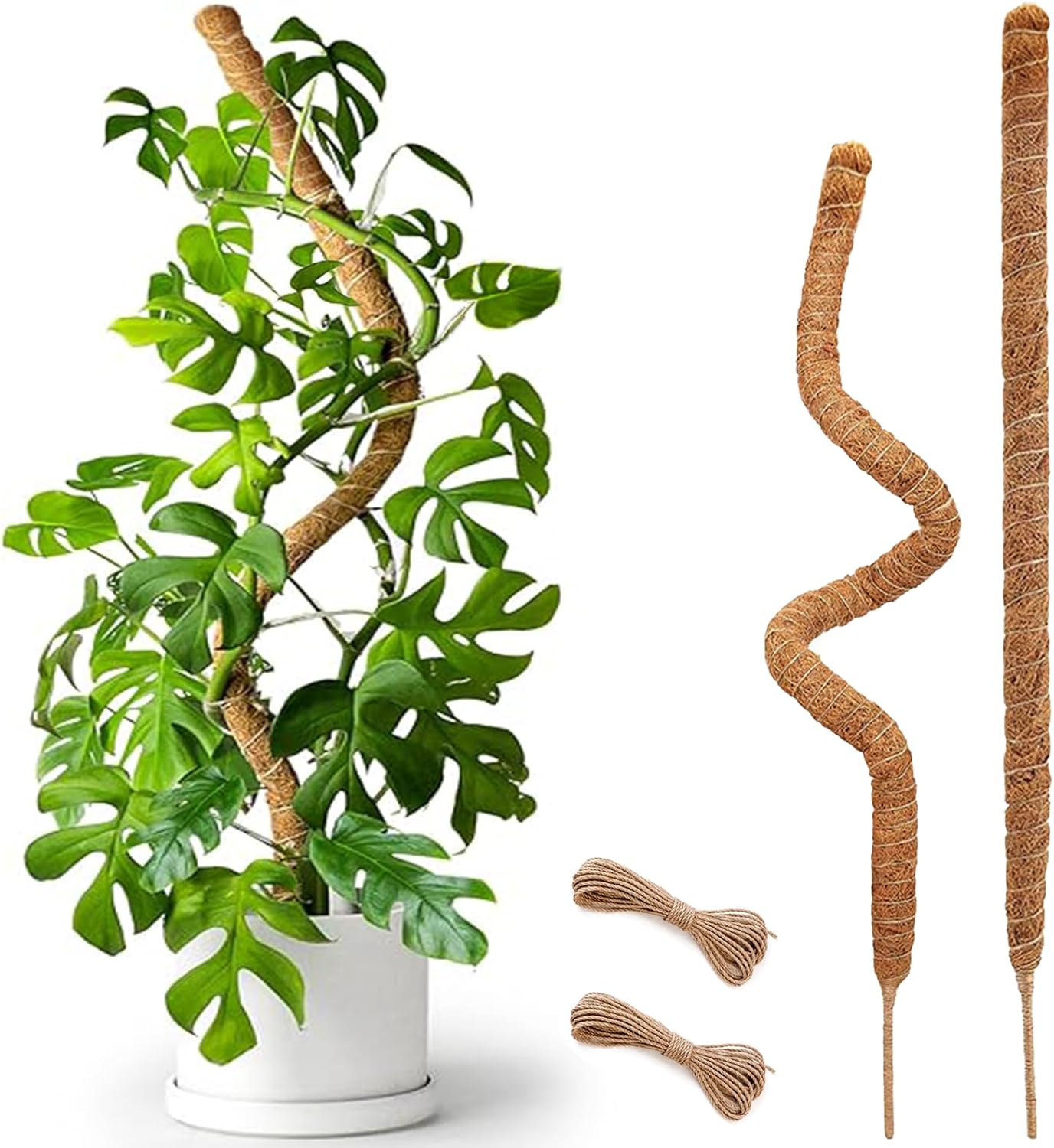 Skiennix 25-Inch Bendable Moss Pole - Handmade Coco Coir Support for Climbing Plants