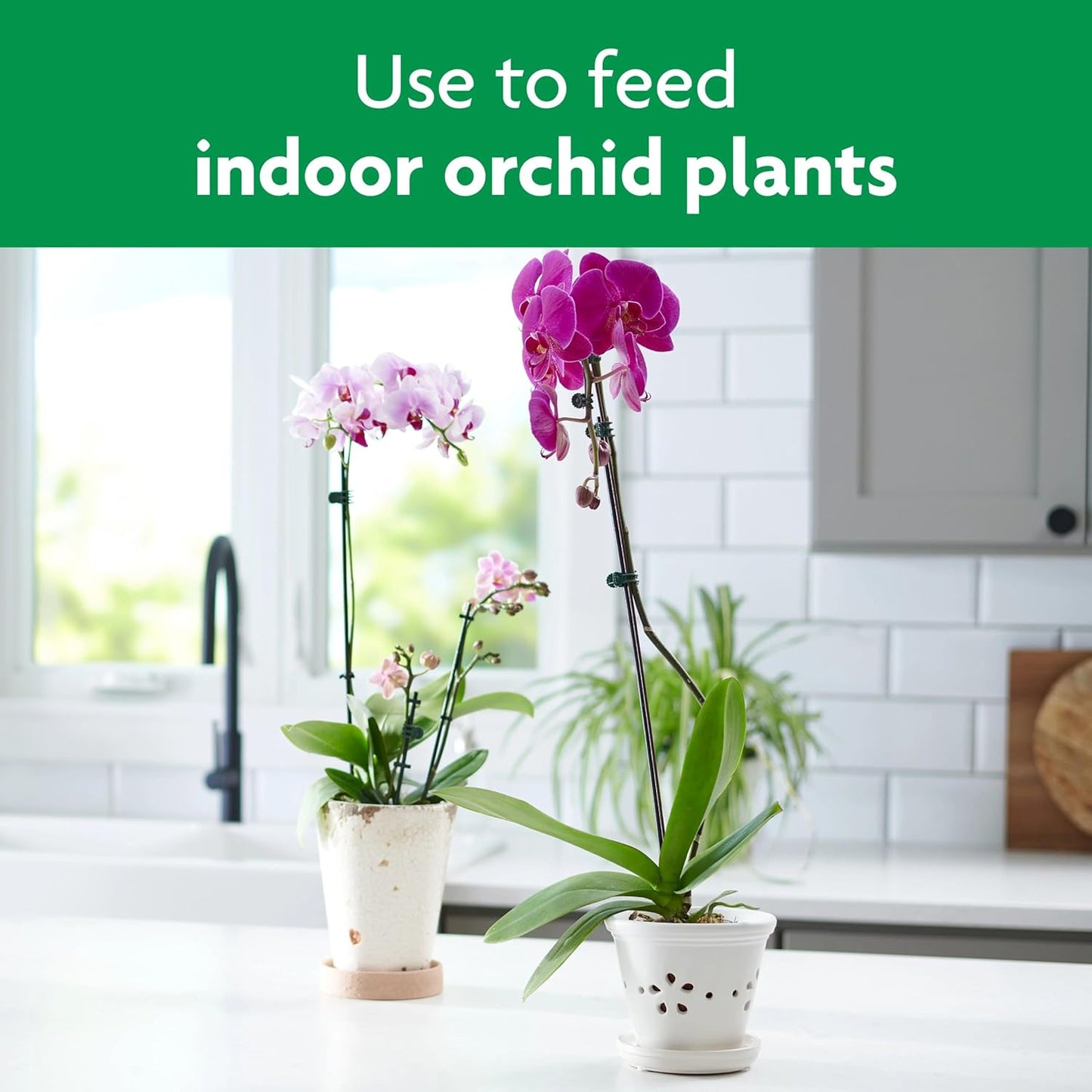 Miracle-Gro Orchid Plant Food Spikes - 10 Fertilizer Sticks for Potted Orchids | Lasts Up to 2 Months