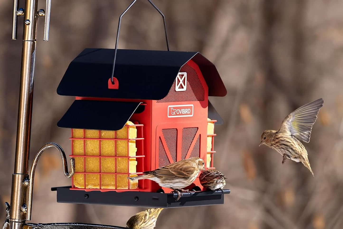 Red Barn Metal Bird Feeder - Large 5LBS Outdoor Hanging Feeder with 2 Suet Cages | Weather Resistant for Bird Watching
