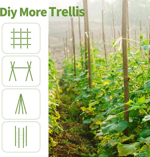 Bamboo Plant Stakes by Skiennix - 3FT Natural Bamboo Garden Stakes | 25Pcs for Tomatoes & Climbing Plants