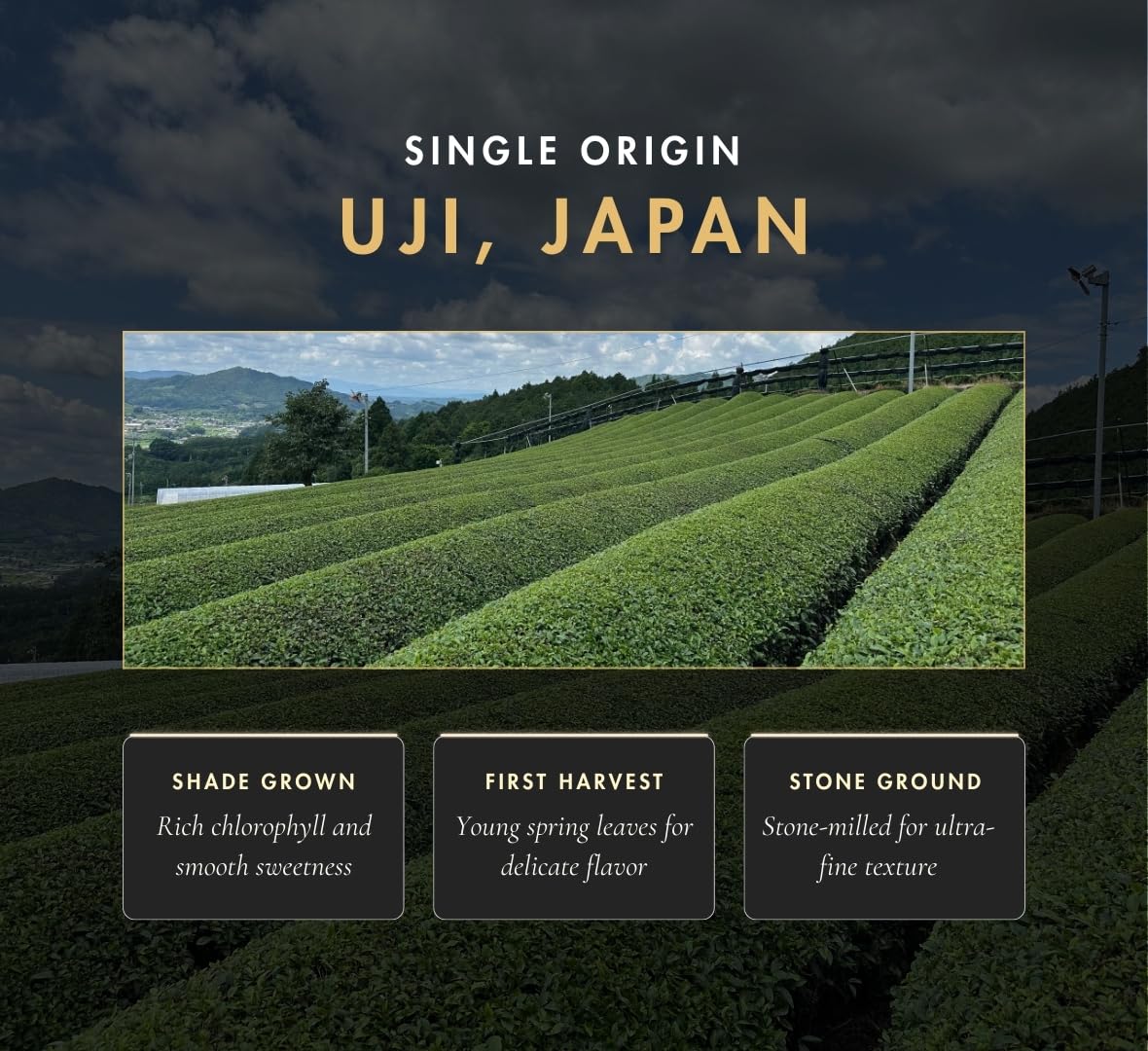 Nippon Matcha | Organic Premium Ceremonial Grade Japanese Matcha Green Tea Powder - First Harvest from Uji, Kyoto - USDA Certified, Smooth & Vibrant (100g/3.53oz)