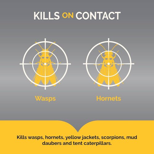 Hot Shot Wasp & Hornet Killer - Powerful 27-Foot Jet Spray - 14 Ounce Aerosol, 2 Pack