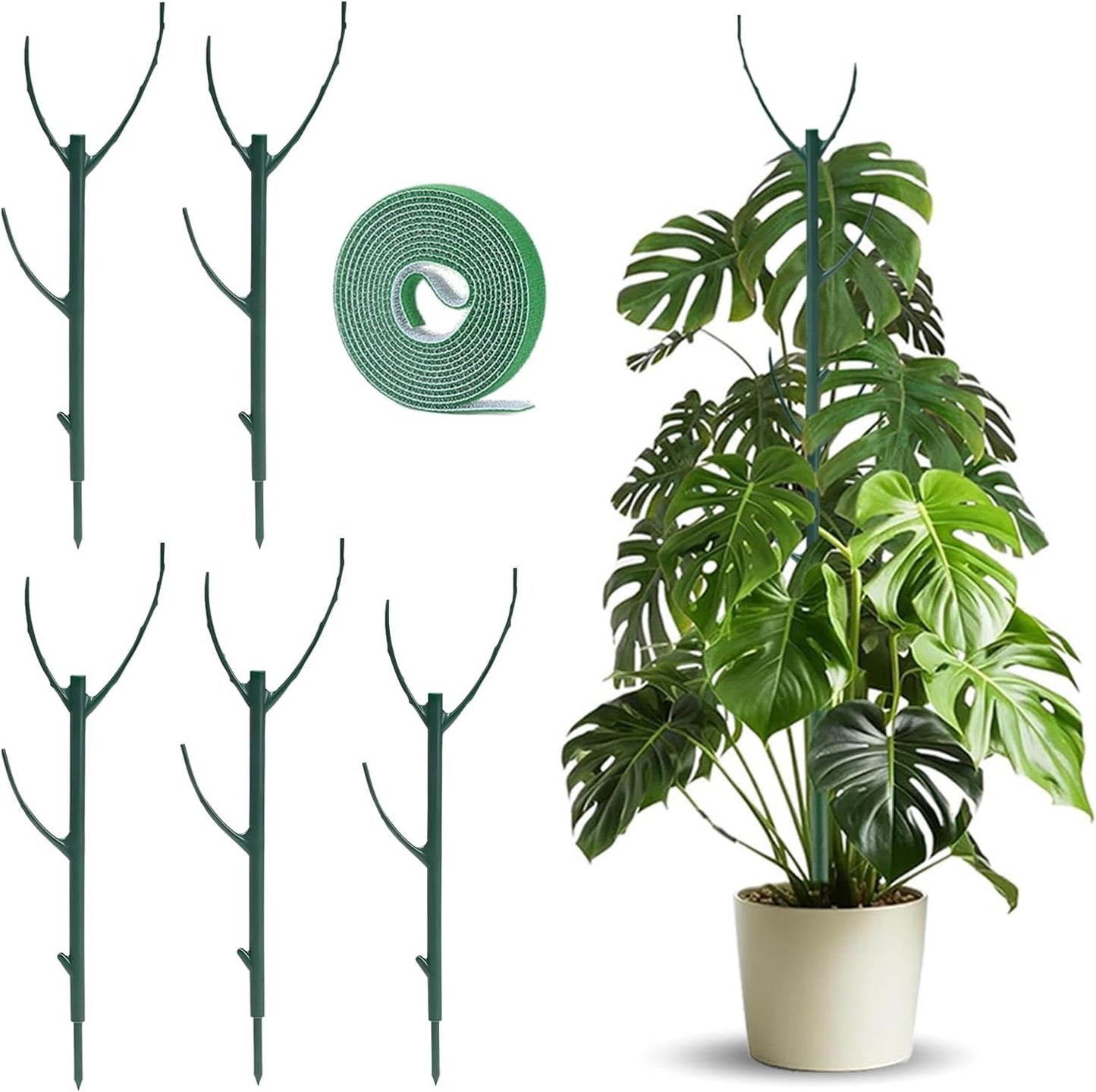 Skiennix Adjustable Plant Support Stakes - 5 Pack for Monstera & Climbing Plants | Indoor/Outdoor Gardening
