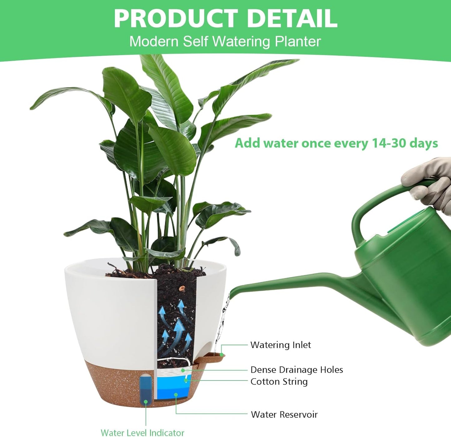 Skiennix Self-Watering Planter Set - 6 Pack of Modern Flower Pots with Visual Water Level | 8-5.5 Inch White