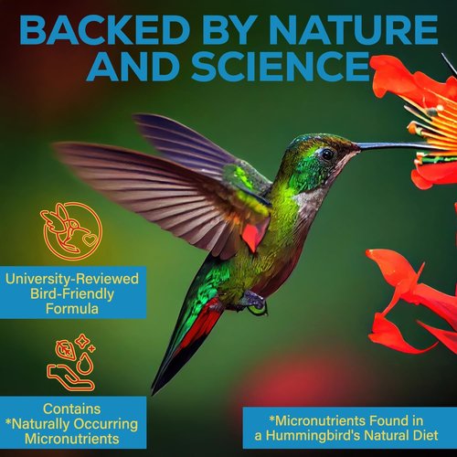 Escentile Hummingbird Nectar Extender - Freshens Nectar for 2+ Weeks | Safe, Natural Formula - 1oz
