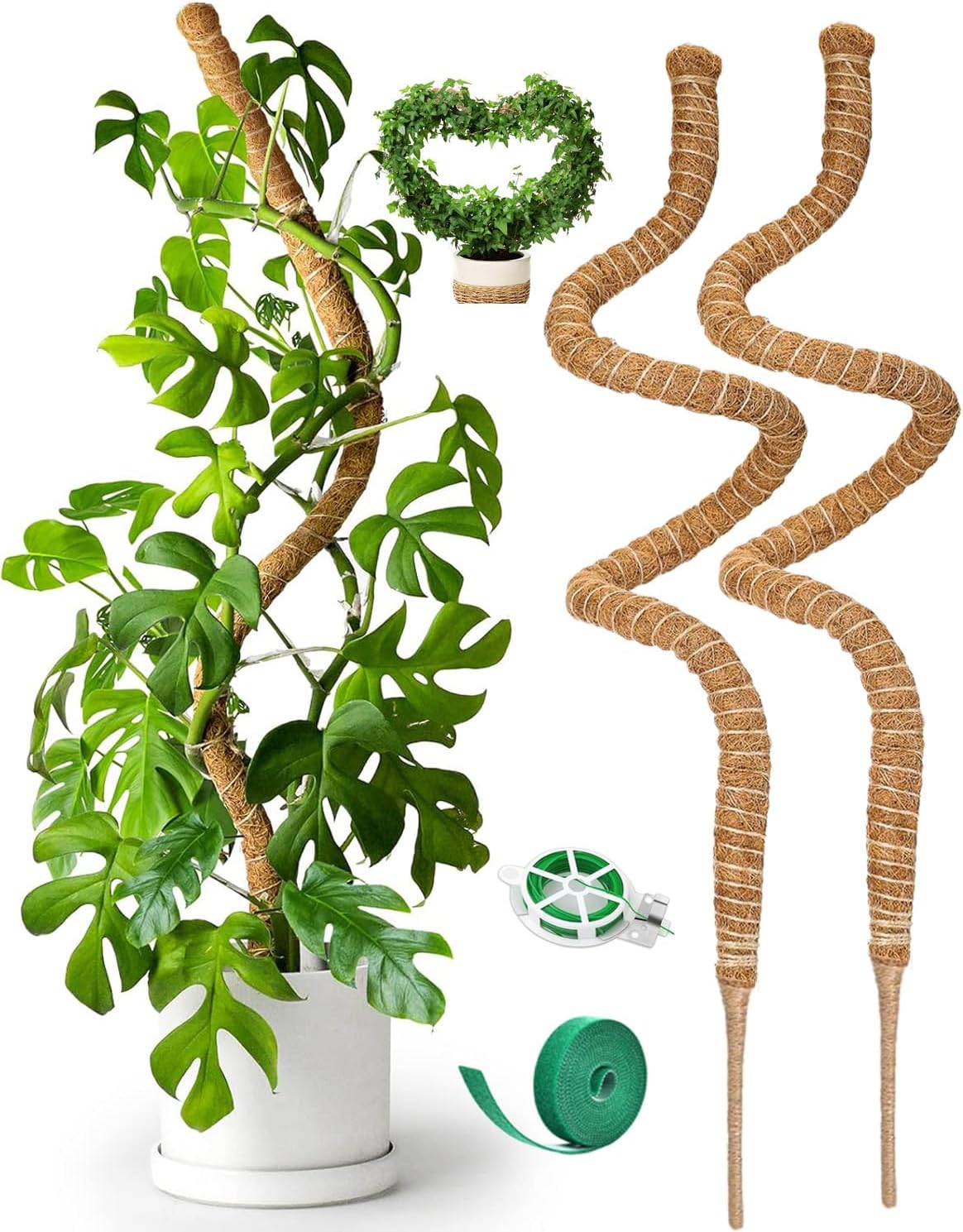 Skiennix 2-Pack 63" Bendable Moss Poles - Ideal Support for Monstera & Climbing Plants