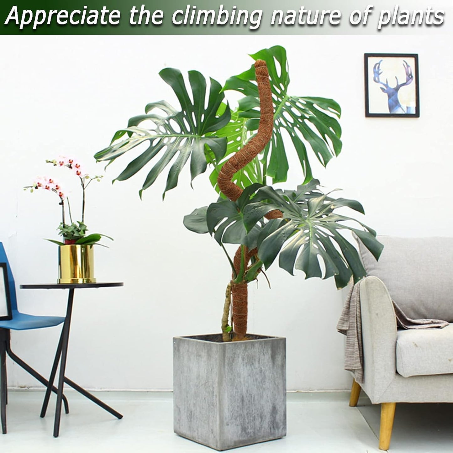 Soupiar 28" Bendable Moss Pole - Rust-Free Aluminum Core Plant Support Stakes for Monstera | 2-Pack with 13.2ft Jute Rope