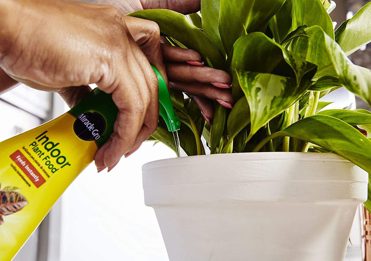 Miracle-Gro Indoor Plant Food - 8-Ounce Fertilizer for Thriving Houseplants | 2 Pack