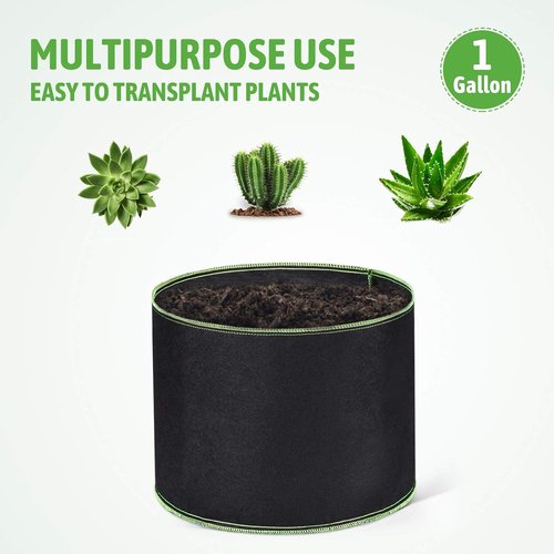 Delxo Garden Grow Bags - 1 Gallon Planting Pots | 10 Pack Small Fabric Bags for Vegetables