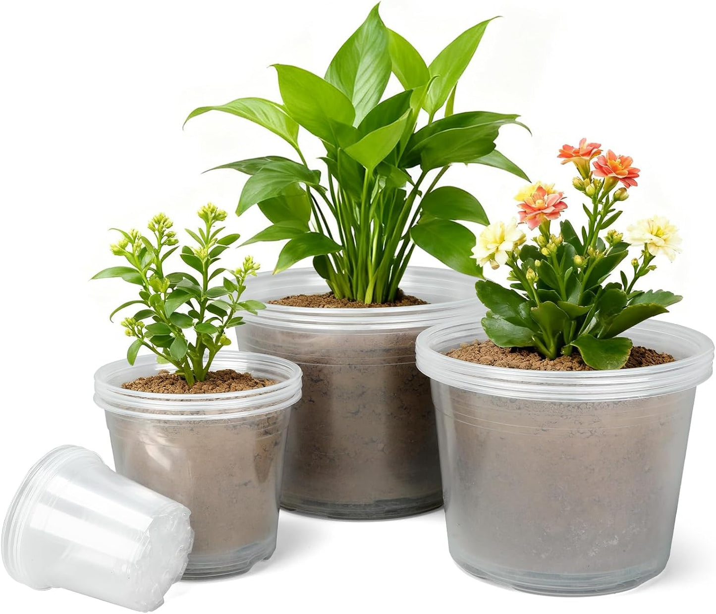 Skiennix Large Clear Nursery Pots - Durable Plastic Plant Pots with Drainage Holes | 4/6/8/10 Inch, 16 Pack