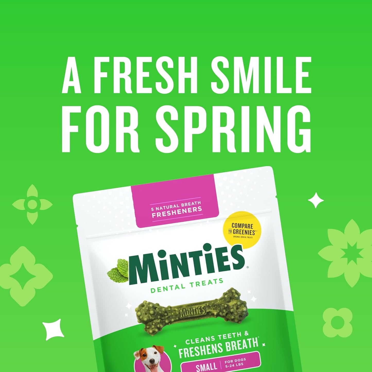 Minties Dog Dental Bone Treats - Tiny/Small Size, 16 Ounces | Cleans Teeth & Freshens Breath, 40 Count