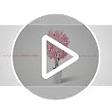 5FT Pink Artificial Cherry Blossom Tree with White Planter - Easy Setup Indoor Decor