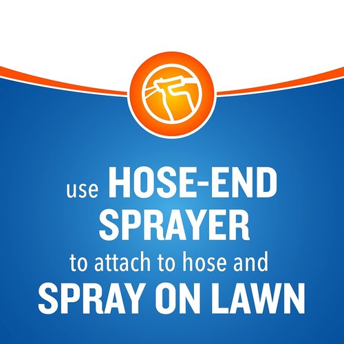 Cutter Backyard Bug Control Spray Concentrate - Kills Mosquitoes & Fleas | 32 fl Ounce (2 Pack)