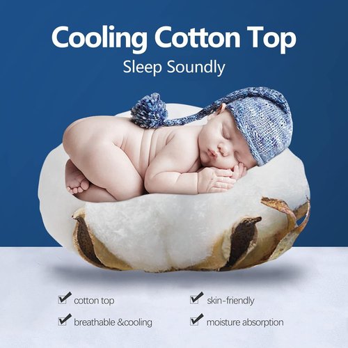COONP Queen Mattress Topper - Extra Thick Cooling Pillowtop Bed Pad with Deep Pocket (8-21 Inch)