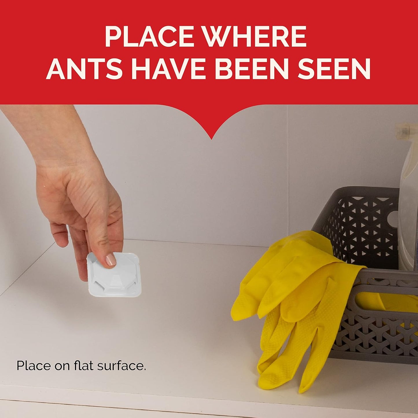 MaxAttrax Ant Bait by Hot Shot - Child-Resistant Stations | 8 Count for Effective Ant Control