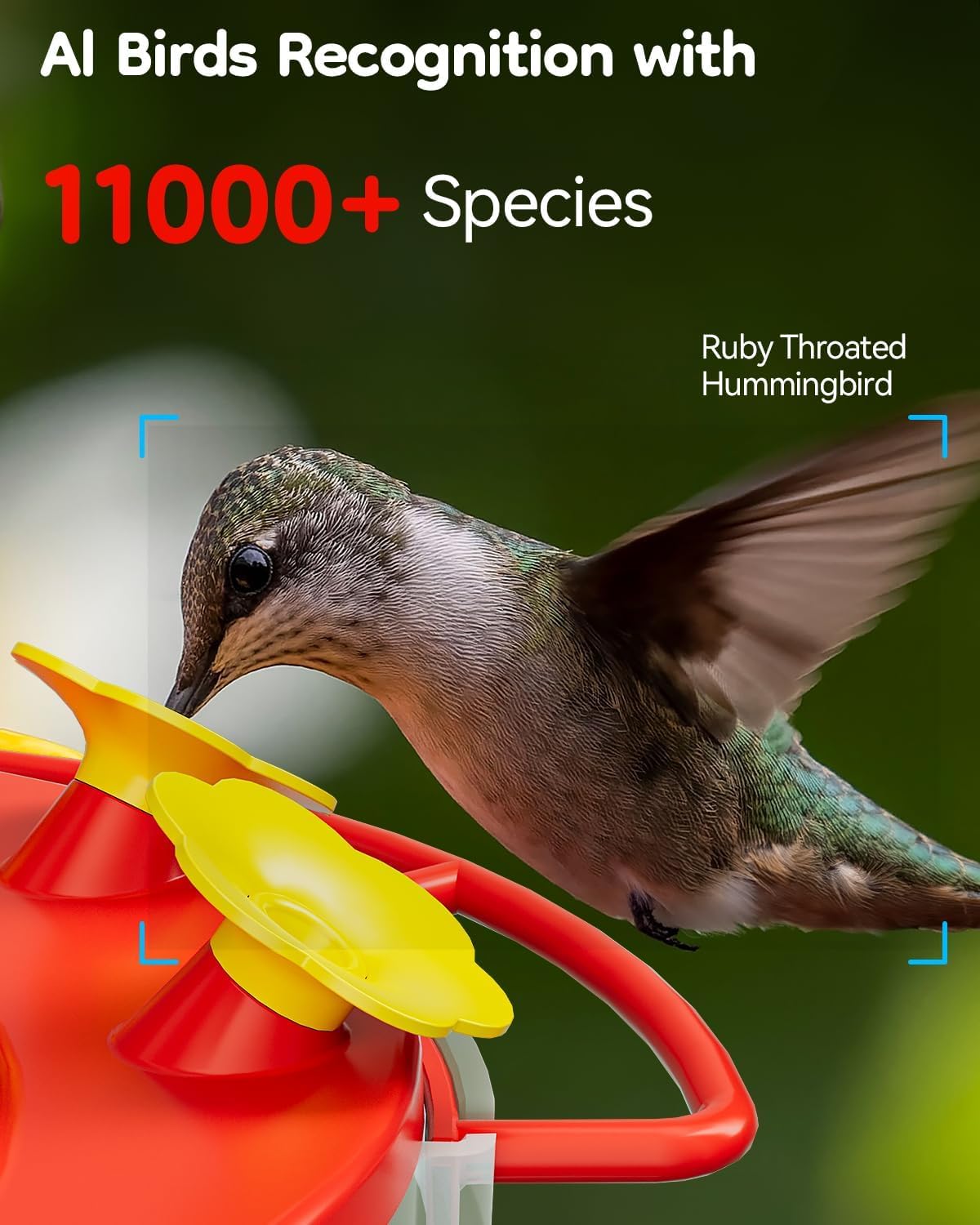LongPlus® Hummingbird Feeder - Solar Powered Smart Bird Camera with 2K Live Video & Ant Guard Base